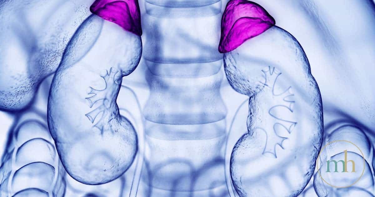 6 Essential Nutrients to Triumph Over Adrenal Fatigue