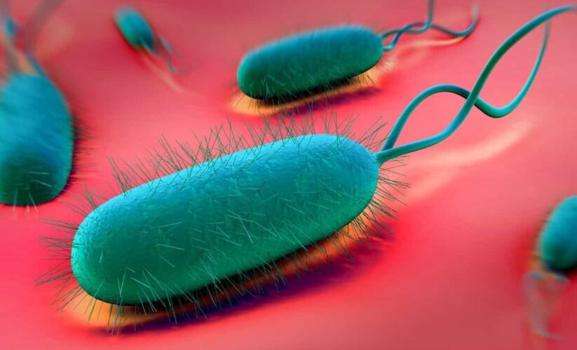 The hidden risks of H. Pylori Infection