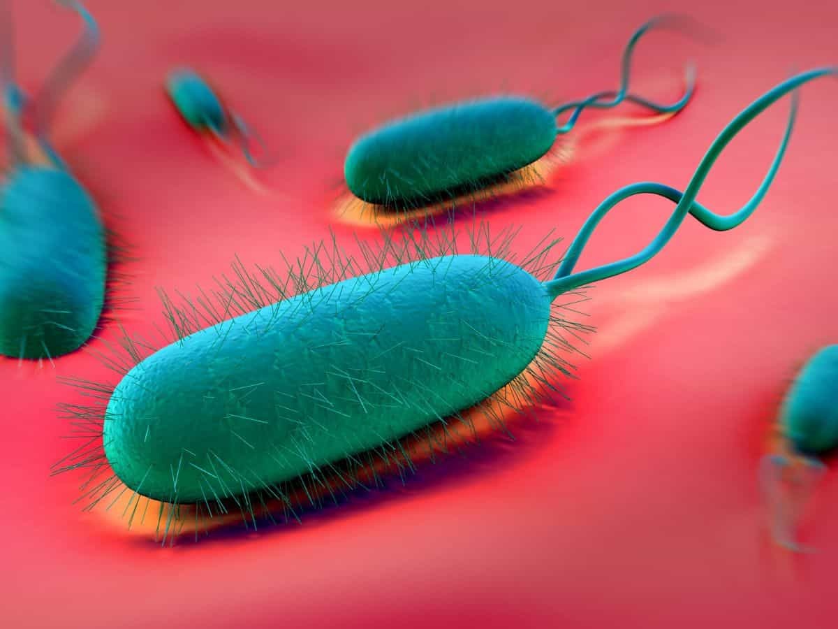 The hidden risks of H. Pylori Infection