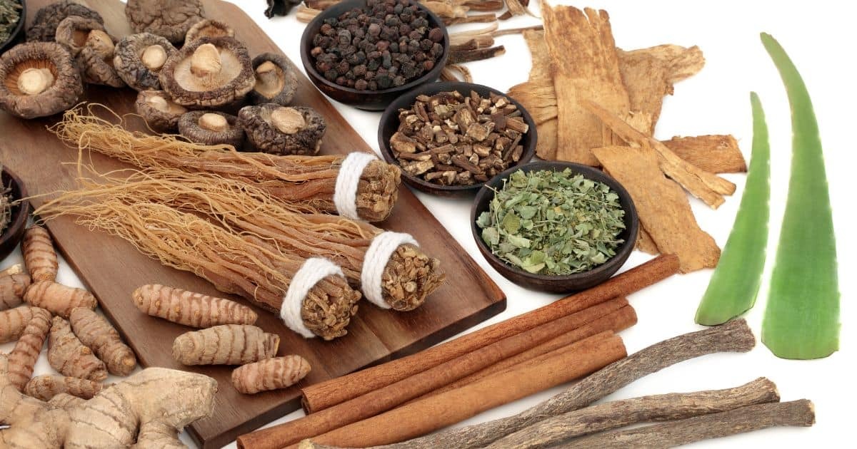 Discover 3 Adaptogens for Stress Relief